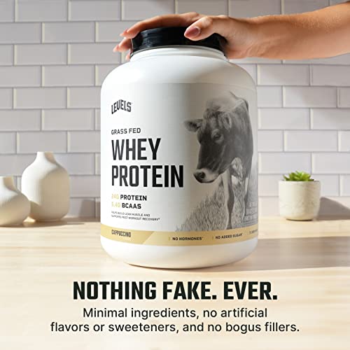 Levels Grass Fed 100% Whey Protein, No Hormones, Cappuccino, 5LB - Maple Wellness Supplements