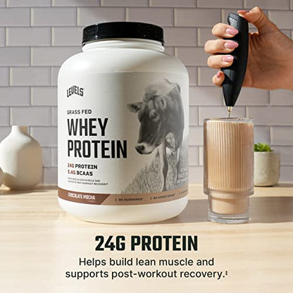 Levels Grass Fed 100% Whey Protein, No Hormones, Chocolate Mocha, 5LB - Maple Wellness Supplements