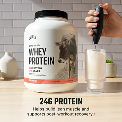 Levels Grass Fed 100% Whey Protein, No Hormones, Strawberry, 5LB - Maple Wellness Supplements