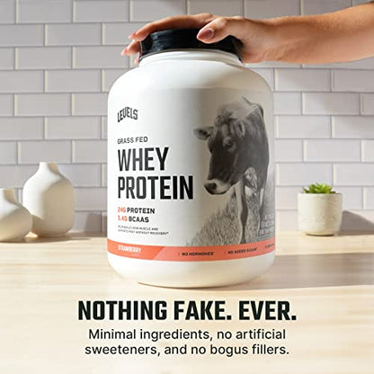 Levels Grass Fed 100% Whey Protein, No Hormones, Strawberry, 5LB - Maple Wellness Supplements