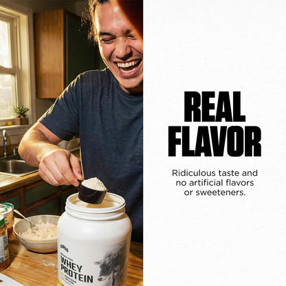 Levels Grass Fed Whey Protein Powder, No Artificials, 24G of Protein, Vanilla Bean, 1LB - Maple Wellness Supplements