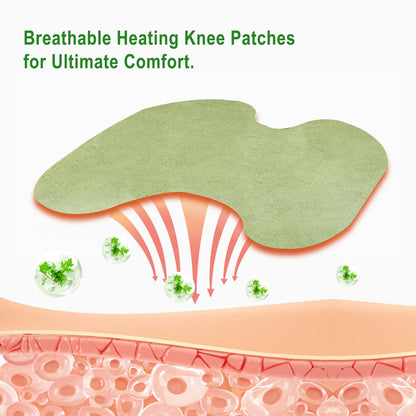 Leytearoo Knee Paches, 48PCS Herbal Knee Patch,Pain Relief Patches,One Pair Knee Sleeves,Long Lasting Relief of Joint - Maple Wellness Supplements