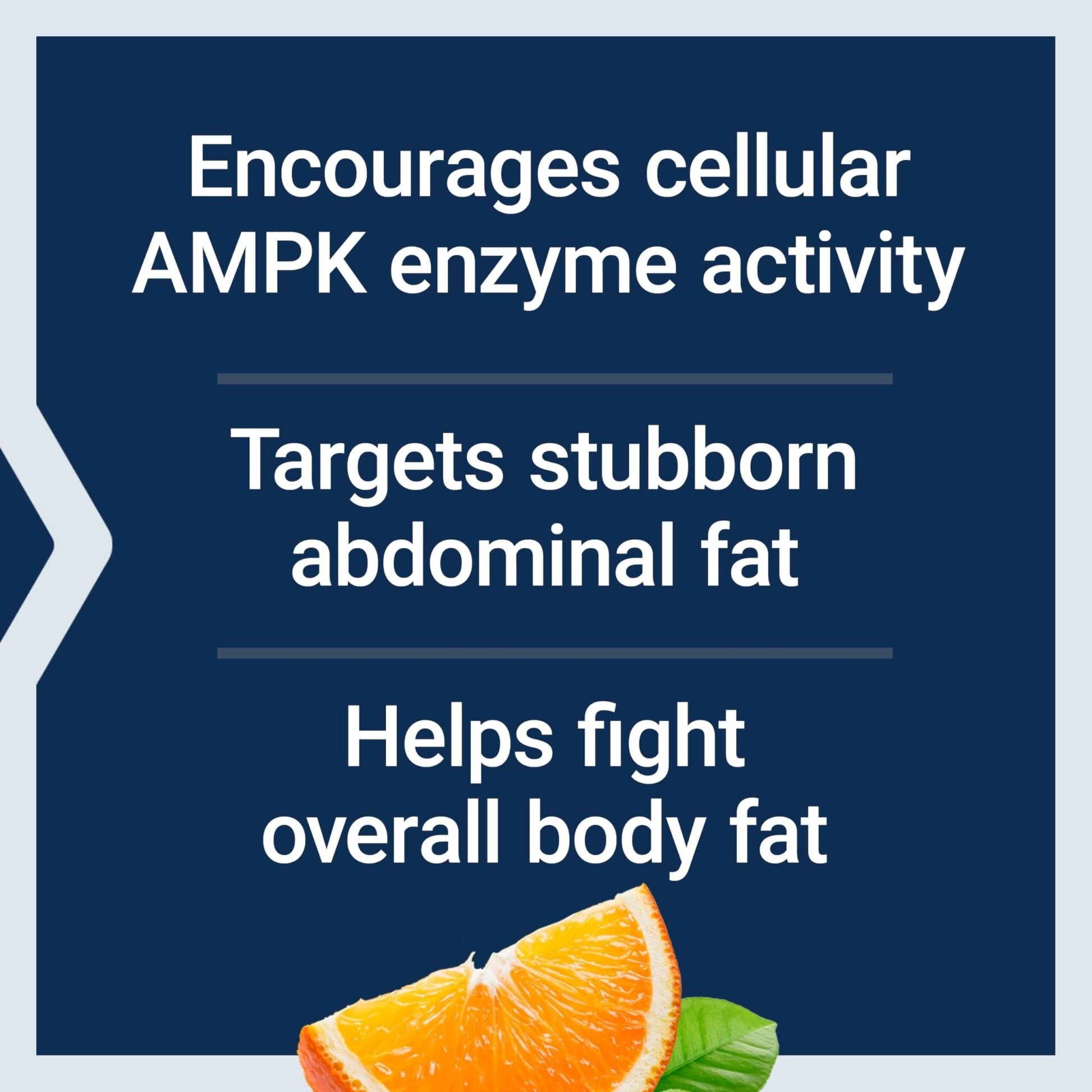 Life Extension AMPK Metabolic Activator*, Hesperidin, G. pentaphyllum, Fight unwanted Belly Fat, Target Overall Fat, Gluten-Free, Vegetarian, 1-Daily, Non-GMO, 30 Tablets - Maple Wellness Supplements