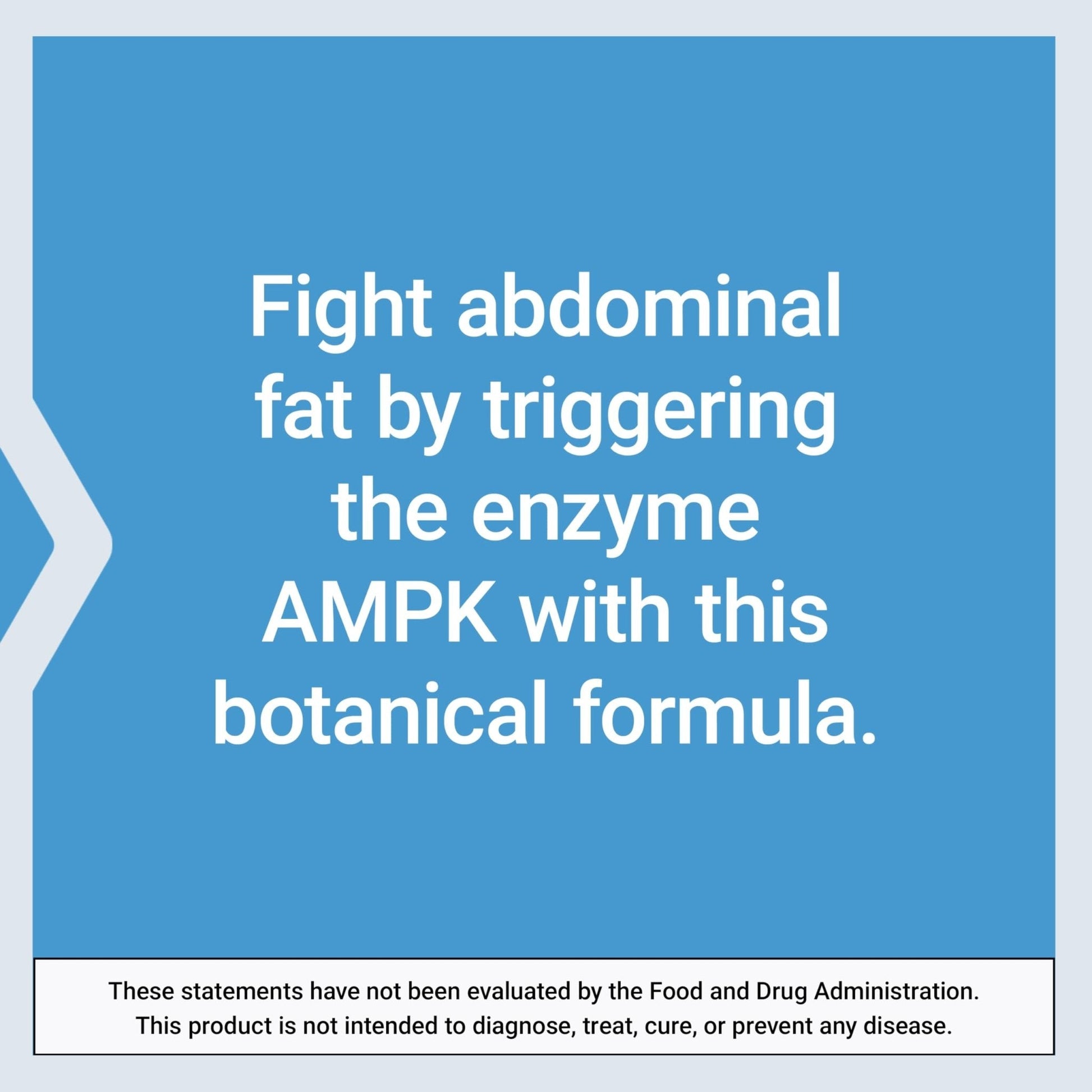 Life Extension AMPK Metabolic Activator*, Hesperidin, G. pentaphyllum, Fight unwanted Belly Fat, Target Overall Fat, Gluten-Free, Vegetarian, 1-Daily, Non-GMO, 30 Tablets - Maple Wellness Supplements