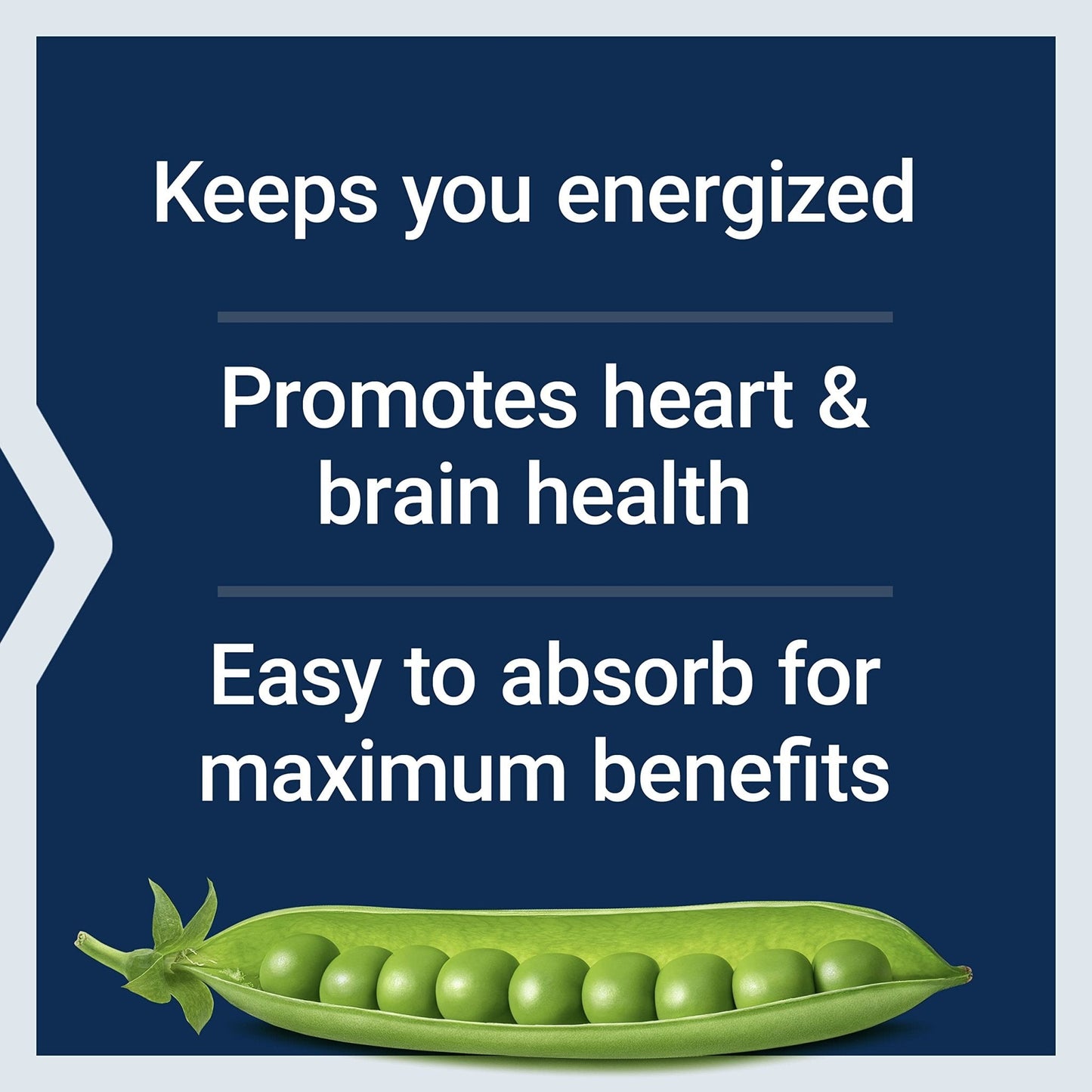 Life Extension BioActive Complete B-Complex, Heart, Nerve Support, Healthy Energy, Metabolism, Complete B Complex, 60 Vegetarian Capsules - Maple Wellness Supplements