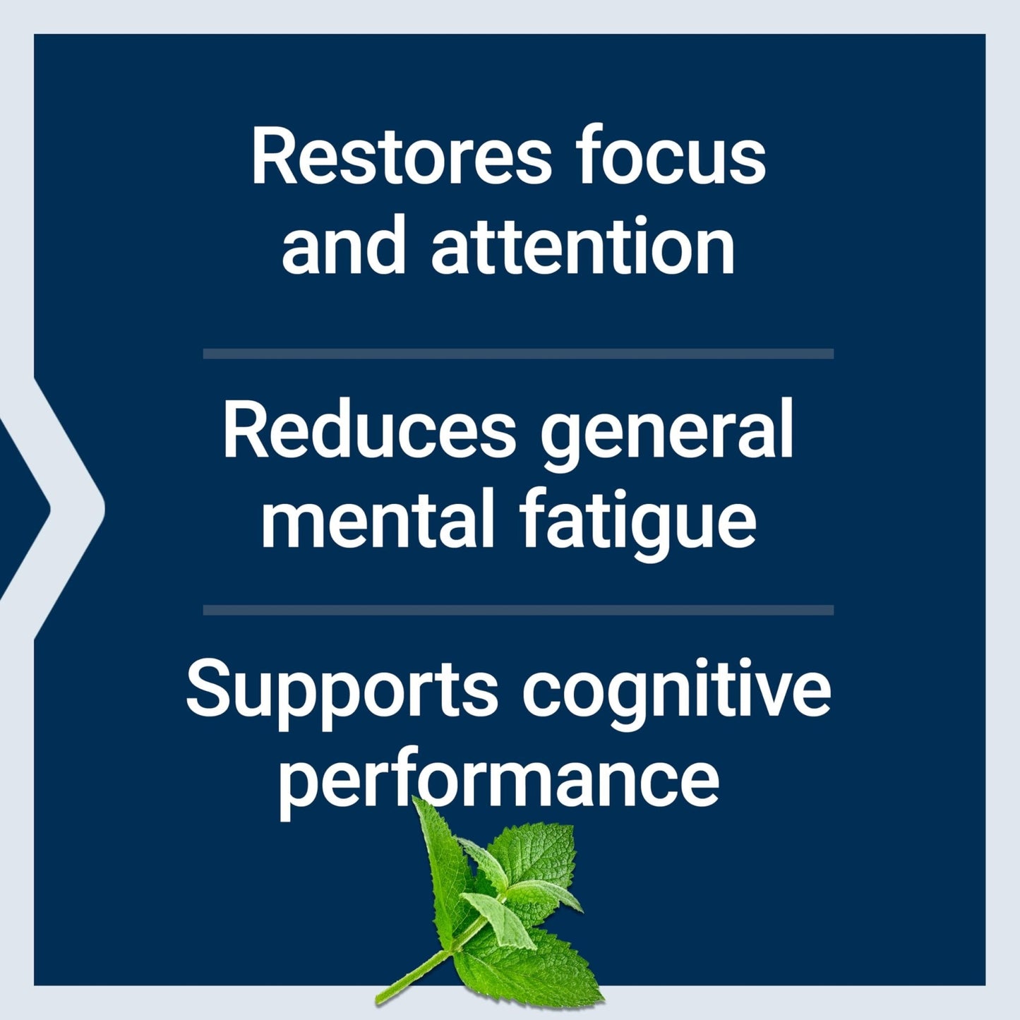 Life Extension Brain Fog Relief, Mango Leaf Extract, standardized Peppermint Oil, nootropic Brain Supplement for Clarity and Focus, Fast-Acting, Caffeine-Free, Gluten Free, Non-GMO, 30 softgels - Maple Wellness Supplements