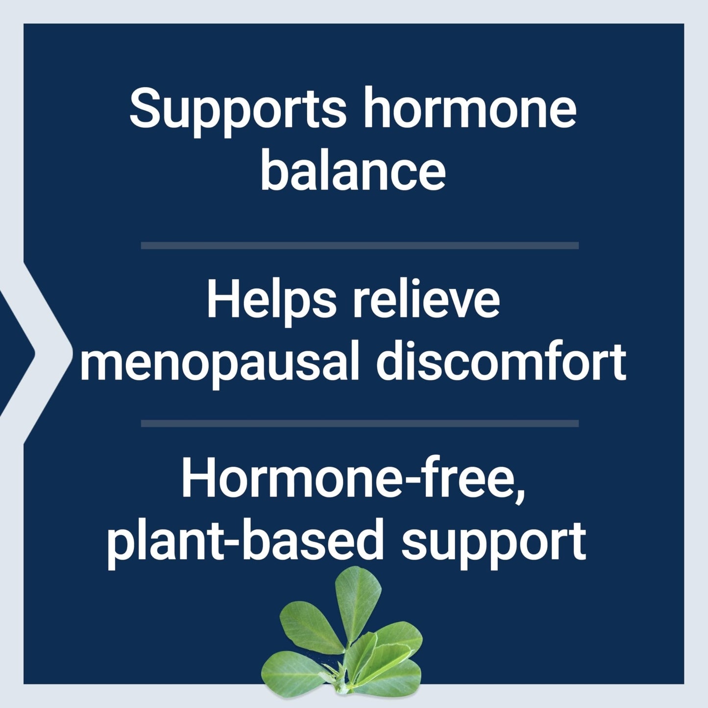 Life Extension Estrogen Balance Elite, Menopause Support Supplement, Hormone Balance, hot Flashes, Night Sweats, Vaginal Dryness, Gluten-Free, Non-GMO, Vegetarian, 60 Tablets. - Maple Wellness Supplements
