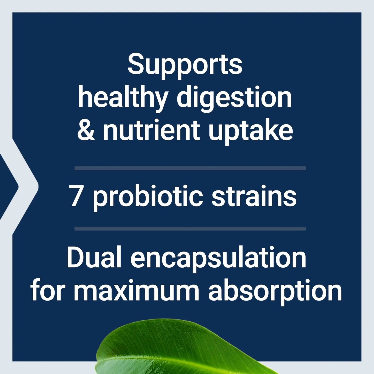 Life Extension FLORASSIST® Probiotic GI with Phage Technology, Digestive Health Supplement, microbiome Balance, Gut Health, Gluten Free, Vegetarian, 30 Capsules - Maple Wellness Supplements