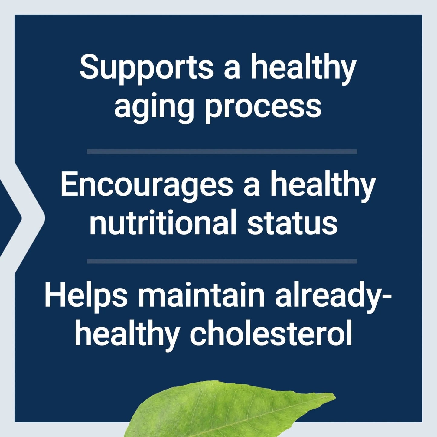 Life Extension FLORASSIST® Probiotic Youthful Gut, Healthy Aging Supplement, postbiotic and probiotic Blend, Heart and Gut Health, Non-GMO, 1-Daily, Gluten-Free, Vegetarian, 30 Capsules - Maple Wellness Supplements