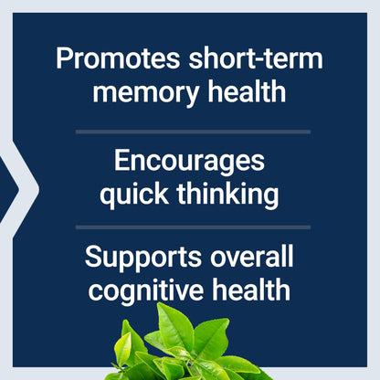 Life Extension Neuro-Mag Magnesium L-Threonate, Memory Health, Quick Thinking, Cognitive Health Support, Vegetarian, Non-GMO, 90 Vegetarian Capsules (144 mg from 2000 mg Magtein magnesium L-threonate - Maple Wellness Supplements