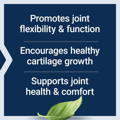 Life Extension NT2 Collagen™, Joint Health Supplement for Joint Comfort & Mobility, Gluten-Free, Non-GMO, 1 Daily, 60 Small Capsules - Maple Wellness Supplements