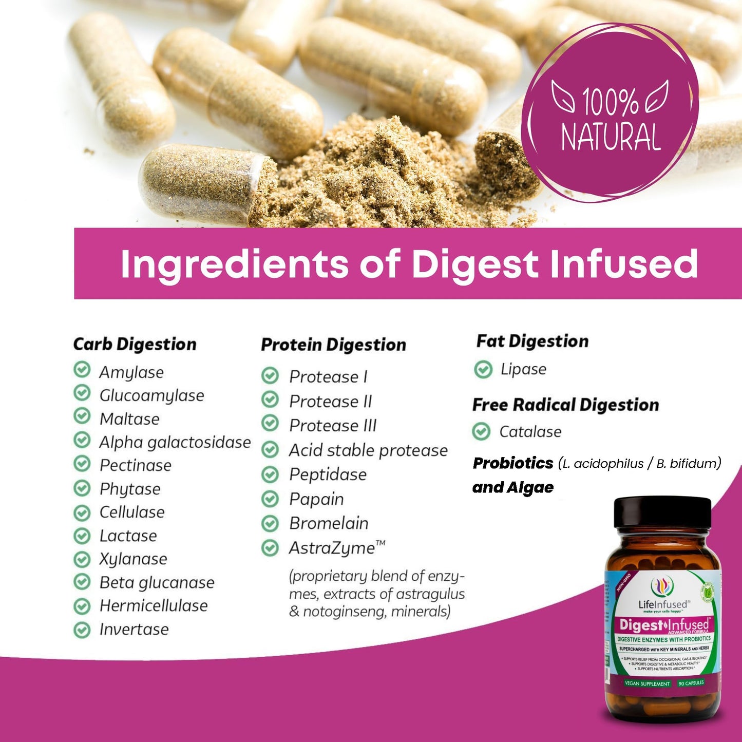 Life Infused Digestive Enzymes with Probiotics – 21 Plant-Based Enzymes with Bromelain, Papain, Amylase & Protease – Digestive Support for Gas & Bloating – - Maple Wellness Supplements