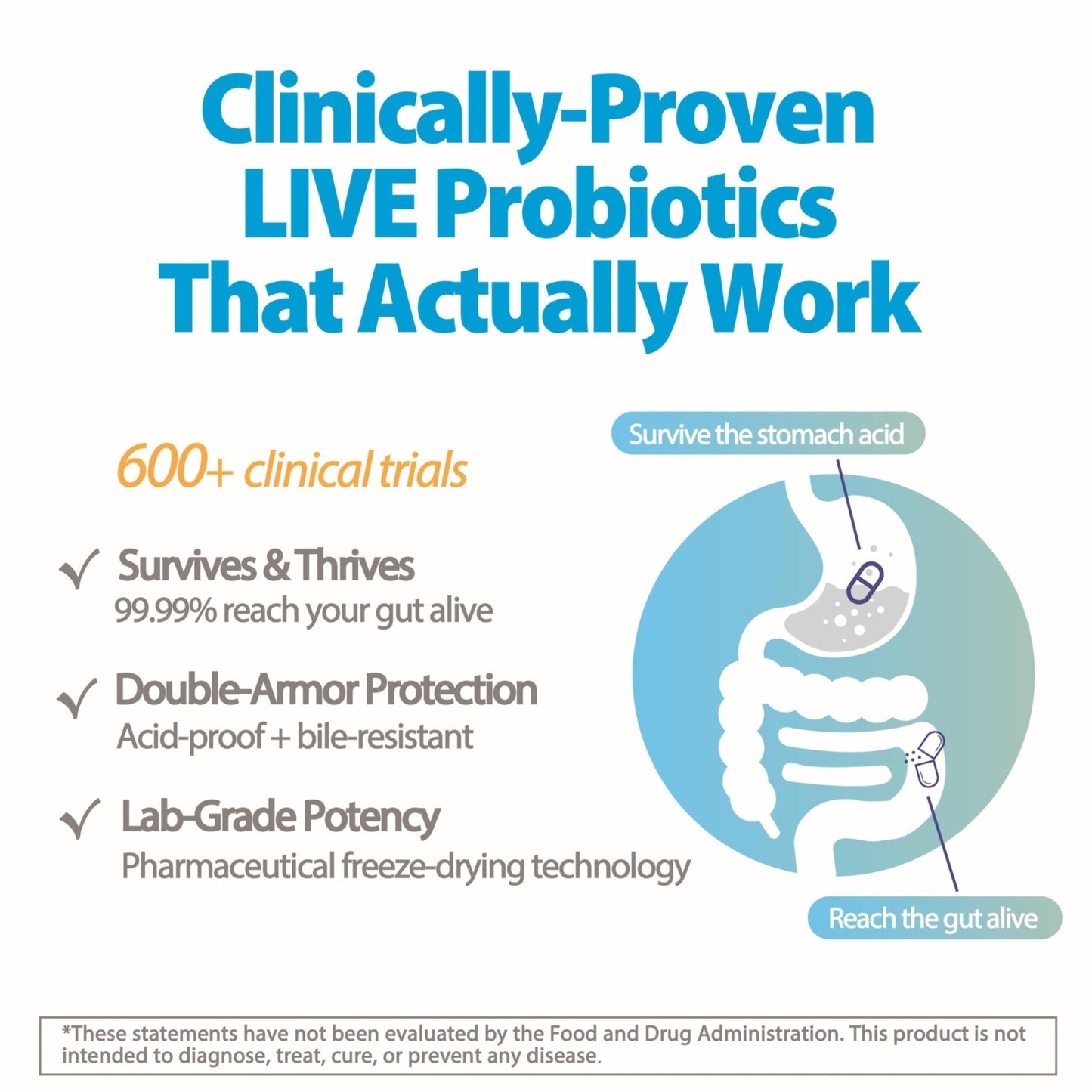 Life-Space Premium Broad Spectrum Probiotics, 2 Month Serving, 32 Billion CFU & 15 Diverse Strains, Formulated for Daily Digestive Health & Immune Health, - Maple Wellness Supplements