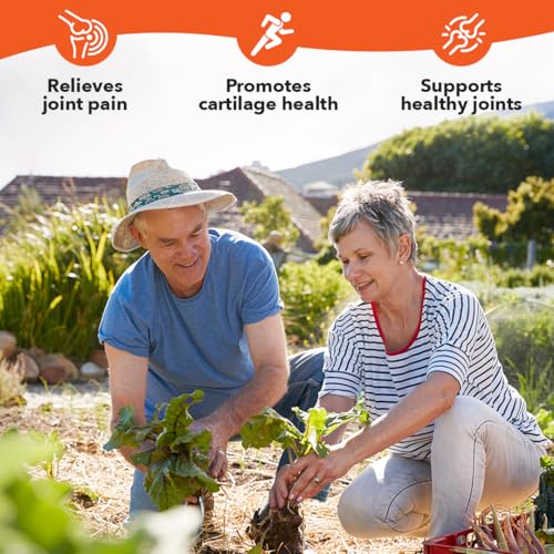 LifeSeasons Mobili-T - Joint Support Supplement - Reduces Aches & Discomforts - Increase Range of Motion - Rebuild Tissue & Cartilage - MSM Chondroitin Collagen Glucosamine & Turmeric - 208 Capsules - Maple Wellness Supplements