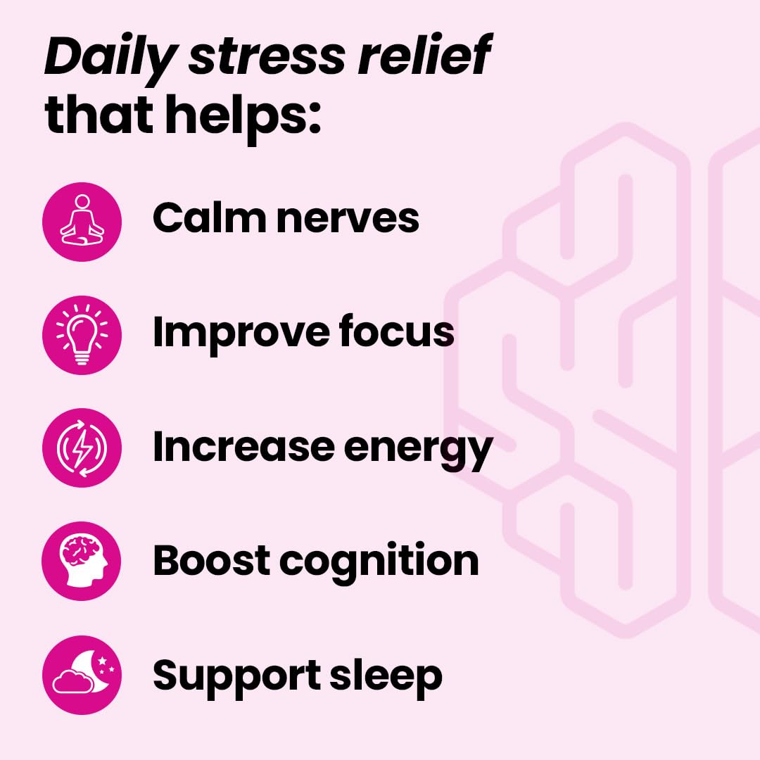 LifeSeasons NeuroQ Calm Focus Capsules - Stress Relief Supplement - Supports Mental Function & Relaxation - Sensoril Ashwagandha, Magnesium, GABA, L-Theanine, Andean Cocoa & Kava Kava - 60 Capsules - Maple Wellness Supplements