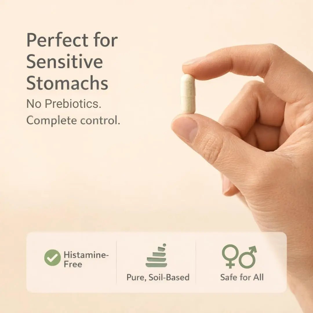 Lifted Naturals Spore Based Probiotic Probiotics - SBO Mood Boost - Spore/Soil-Based - Digestion & Natural Mood Support - Histamine-Free - 60 Day Supply, Non-GMO, Dairy-Free, Gluten-Free, Vegan - Maple Wellness Supplements