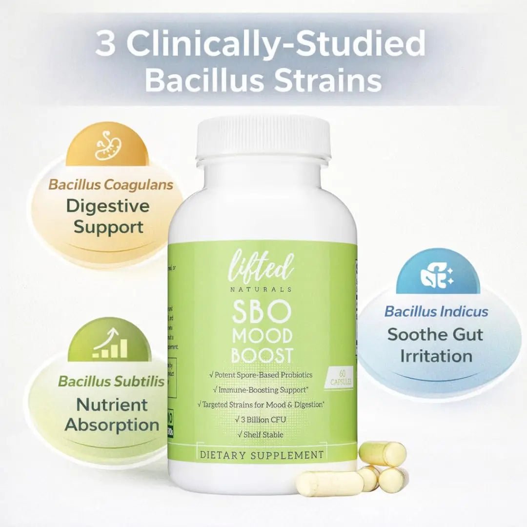 Lifted Naturals Spore Based Probiotic Probiotics - SBO Mood Boost - Spore/Soil-Based - Digestion & Natural Mood Support - Histamine-Free - 60 Day Supply, Non-GMO, Dairy-Free, Gluten-Free, Vegan - Maple Wellness Supplements