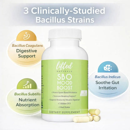 Lifted Naturals Spore Based Probiotic Probiotics - SBO Mood Boost - Spore/Soil-Based - Digestion & Natural Mood Support - Histamine-Free - 60 Day Supply, Non-GMO, Dairy-Free, Gluten-Free, Vegan - Maple Wellness Supplements