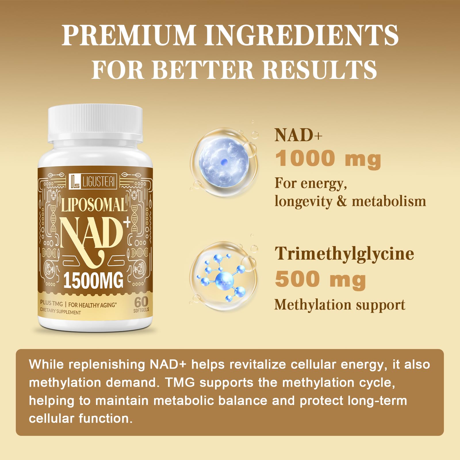 LIGUSTERI 1500 MG Liposomal NAD+, 98%+ Absorption, NAD+ Supplement for Women & Men with TMG, for Aging Defense, Cellular Energy, Heart & Brain Function, Longevity, 120 Softgels - Maple Wellness Supplements
