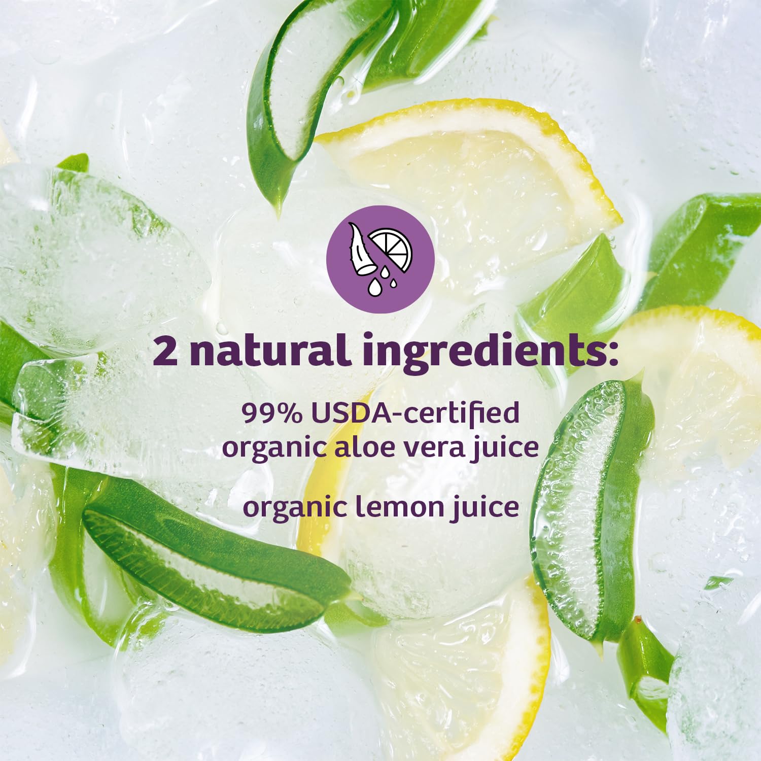 Lily of the Desert Aloe Vera Juice, Whole Leaf Filtered, Organic & Preservative Free – Natural Vitamins, Digestive Enzymes for Gut Health, - Maple Wellness Supplements