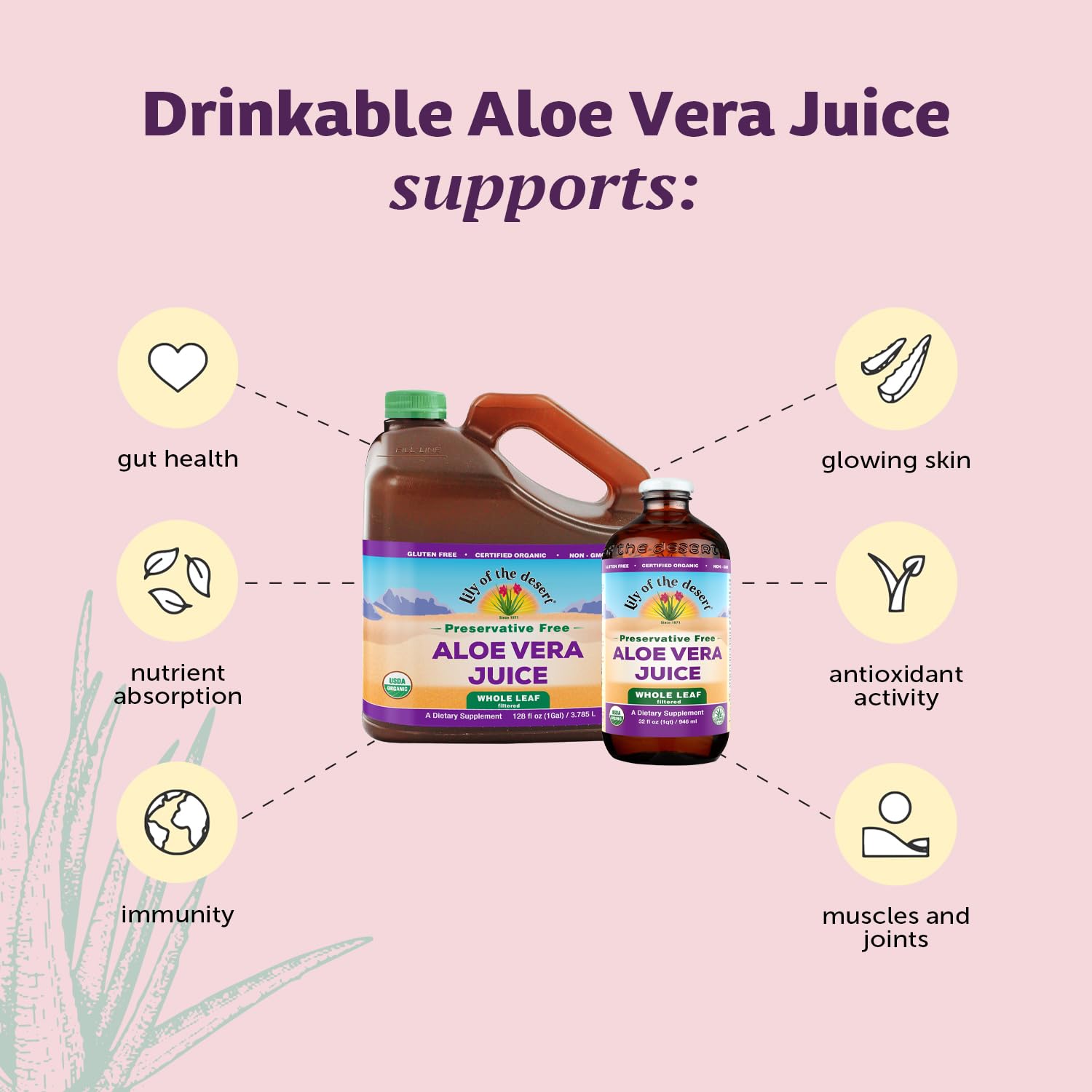 Lily of the Desert Aloe Vera Juice, Whole Leaf Filtered, Organic & Preservative Free – Natural Vitamins, Digestive Enzymes for Gut Health, - Maple Wellness Supplements