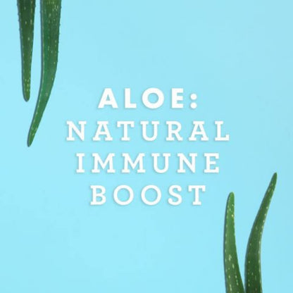Lily of the Desert Organic Aloe Vera Juice – Inner Fillet, 16 fl oz - Maple Wellness Supplements