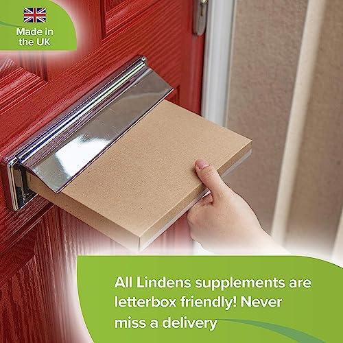 Lindens 500mg Magnesium Tablets | 90s 1-a-Day | Made in The UK | Tiredness, Muscle - Maple Wellness Supplements