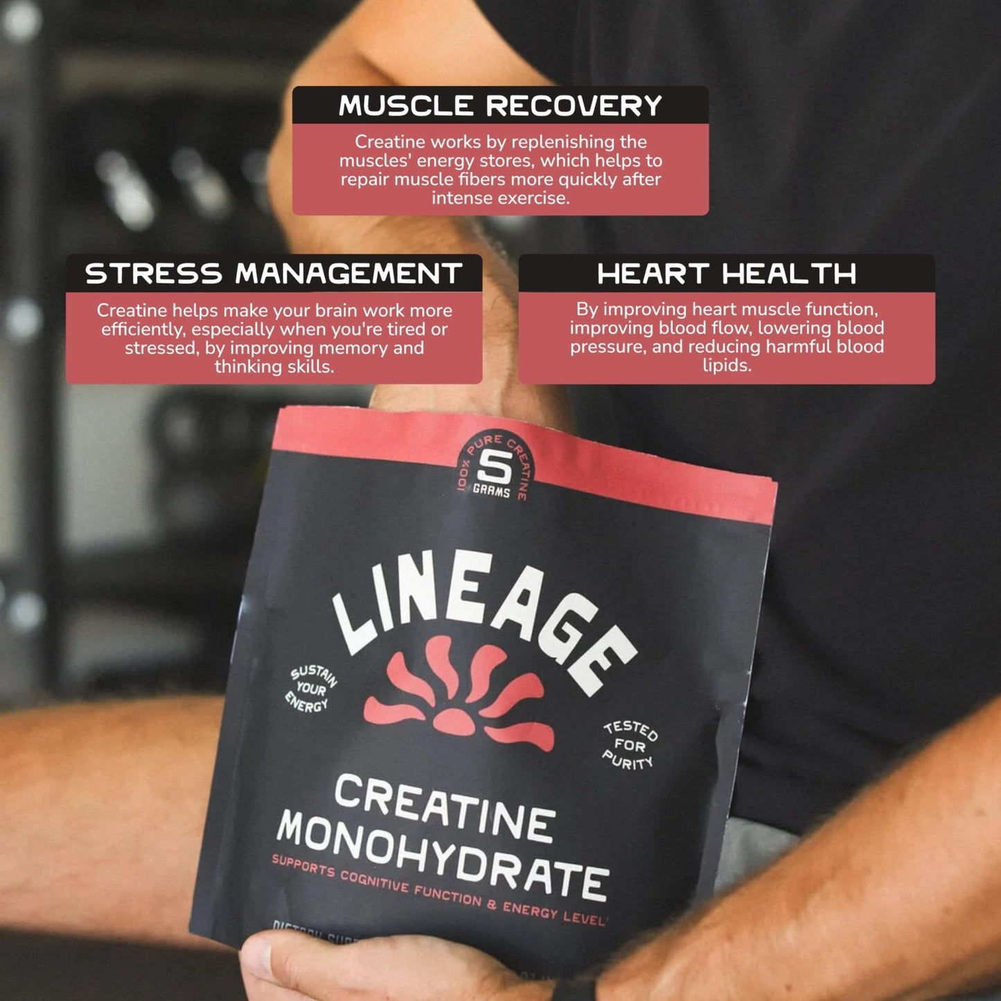 Lineage Provisions Micronized Creatine Monohydrate with Sea Salt - Micronized Creatine Powder for Training & Performance - Maple Wellness Supplements