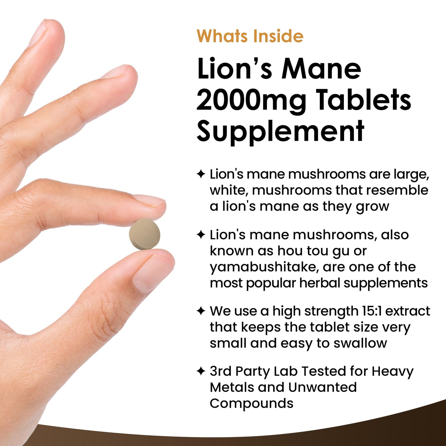 Lions Mane Mushroom Extract Supplement 2000mg - 180 High Strength Vegan Tablets - Maple Wellness Supplements