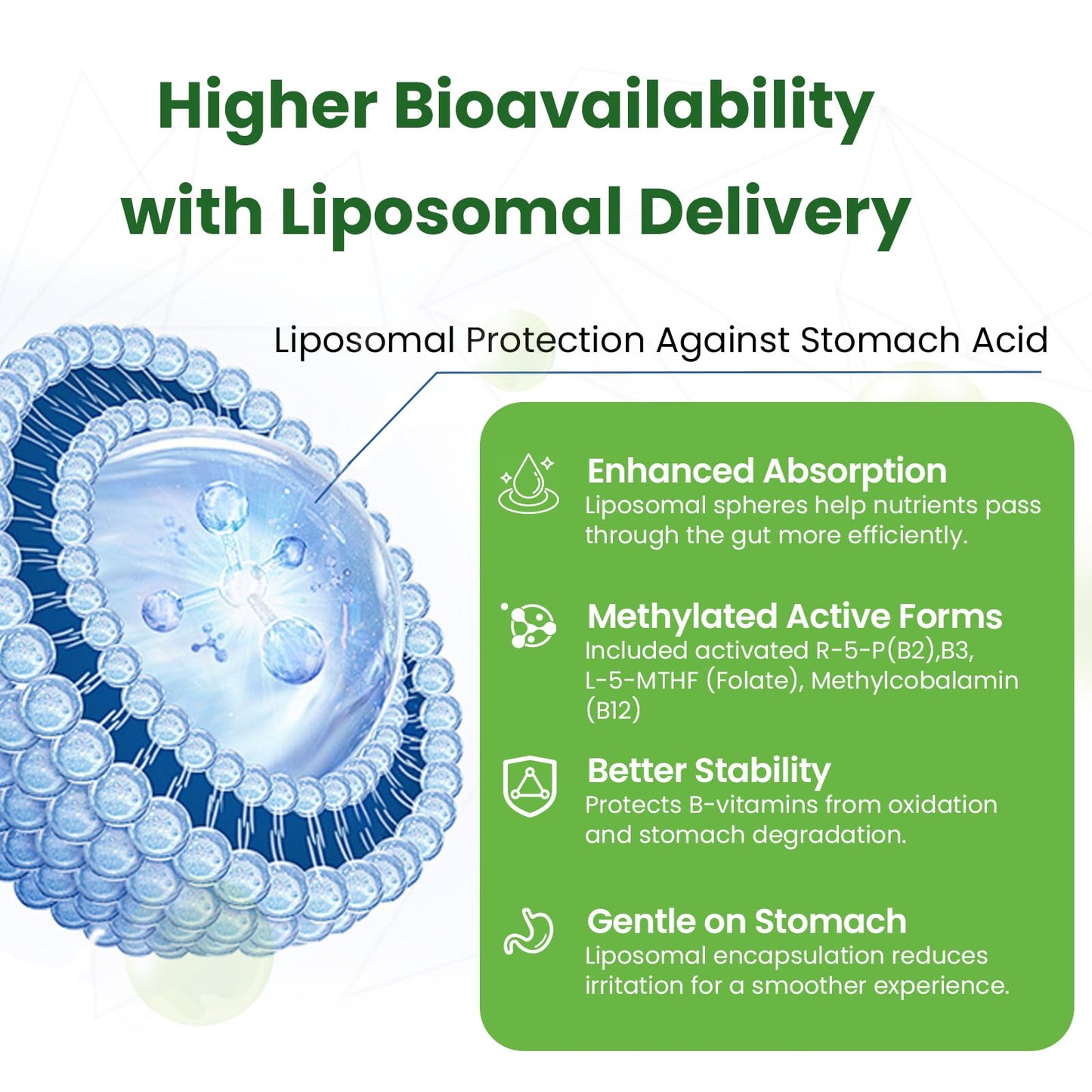 Liposomal B Complex for High Absorption Methylated B12,L-Methyfolate(5-MTHF ),Full Active B Vitamins with Choline Inositol-Energy, Metabolism,Brain & Heart Support - Maple Wellness Supplements