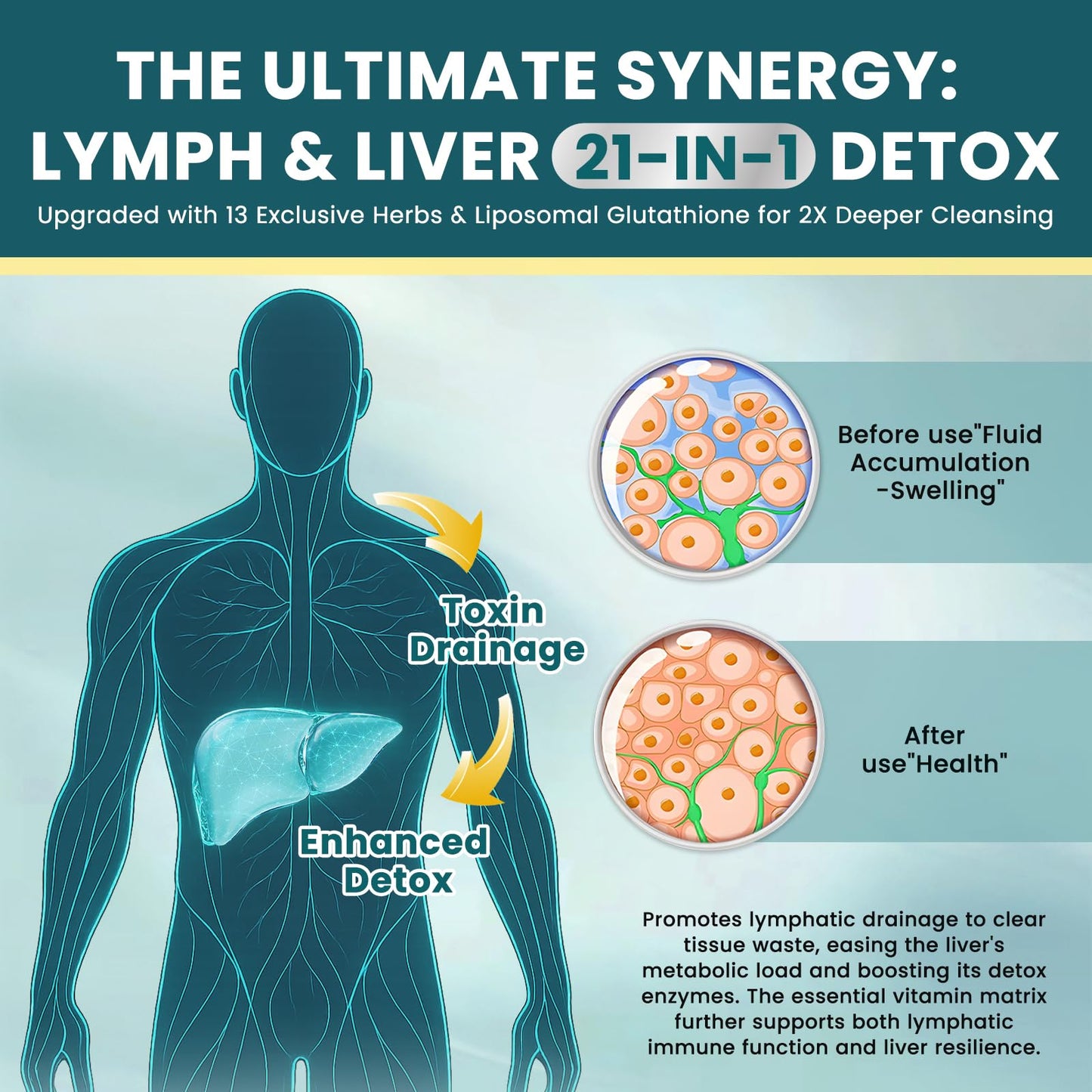 Liposomal Lymphatic Drainage Drops - 21 in 1 Liver Cleanse Detox & Repair with Milk Thistle, Echinacea, Burdock Root, Liposomal Glutathione, Vitamin Complex ''Lymph-Liver'' Gut & Metabolic Health - Maple Wellness Supplements
