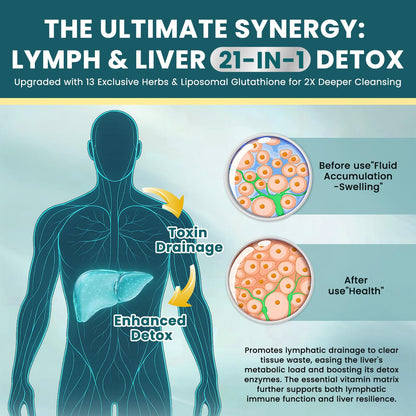 Liposomal Lymphatic Drainage Drops - 21 in 1 Liver Cleanse Detox & Repair with Milk Thistle, Echinacea, Burdock Root, Liposomal Glutathione, Vitamin Complex ''Lymph-Liver'' Gut & Metabolic Health - Maple Wellness Supplements