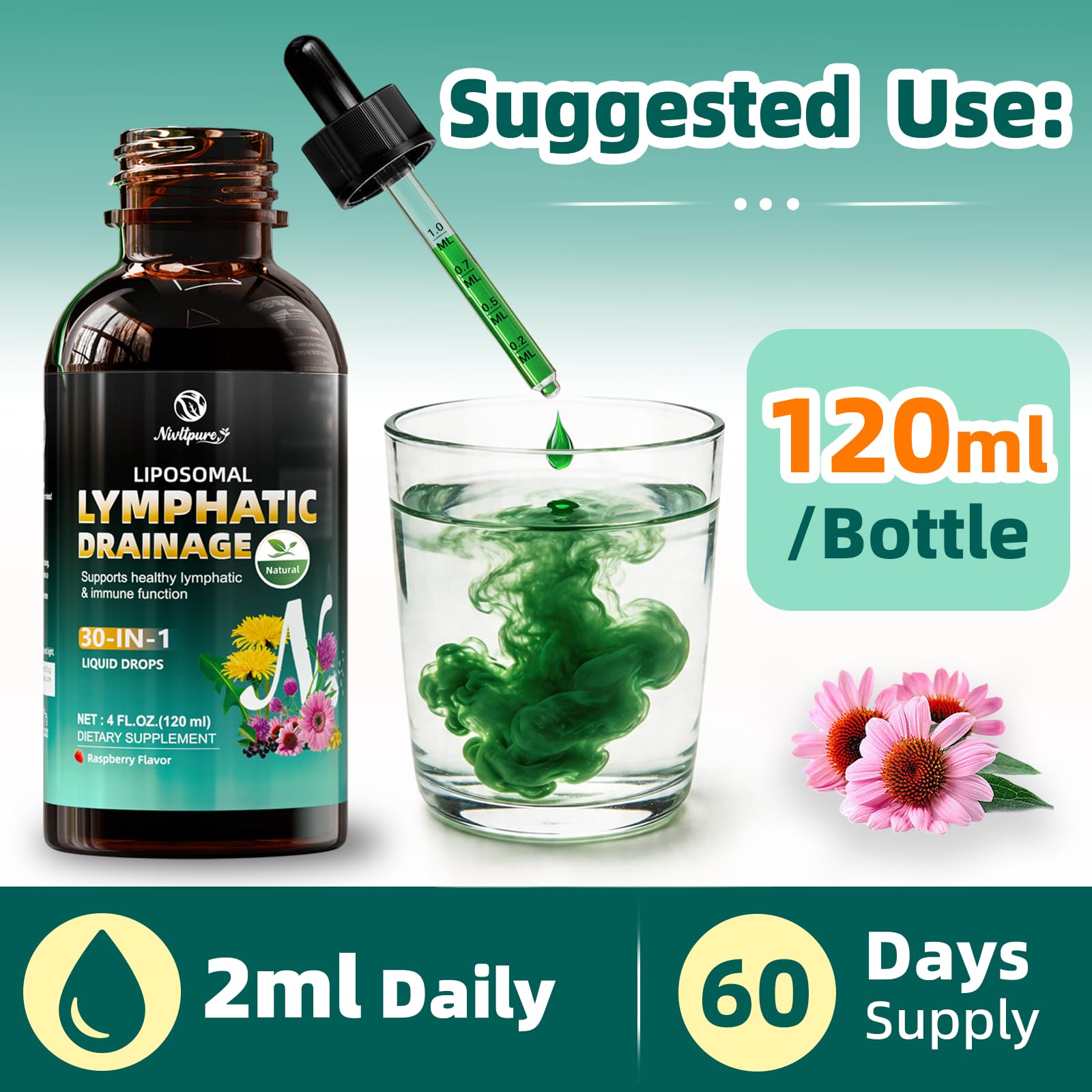 Liposomal Lymphatic Drainage Drops, 4 fl oz – 30-in-1 Lymphatic Drainage Supplements with 23 Herbs & 7 Vitamins – Supports Lymphatic System, Immune & Liver Health – Detox Support – 60-Day Supply - Maple Wellness Supplements