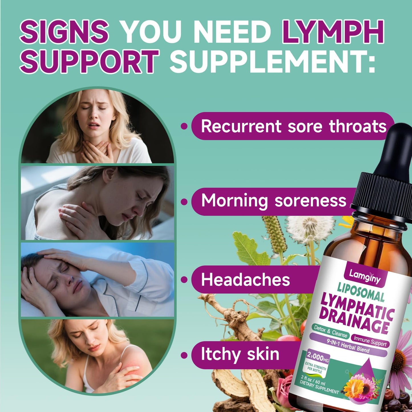 Liposomal Lymphatic Drainage Drops, 9-In-1 Lymphatic Drainage Supplements for Detox & Cleanse, with Echinacea, Dandelion, Elderberry, Burdock Root & Cleavers, Immune & Lymph System Support, 2 FL OZ - Maple Wellness Supplements