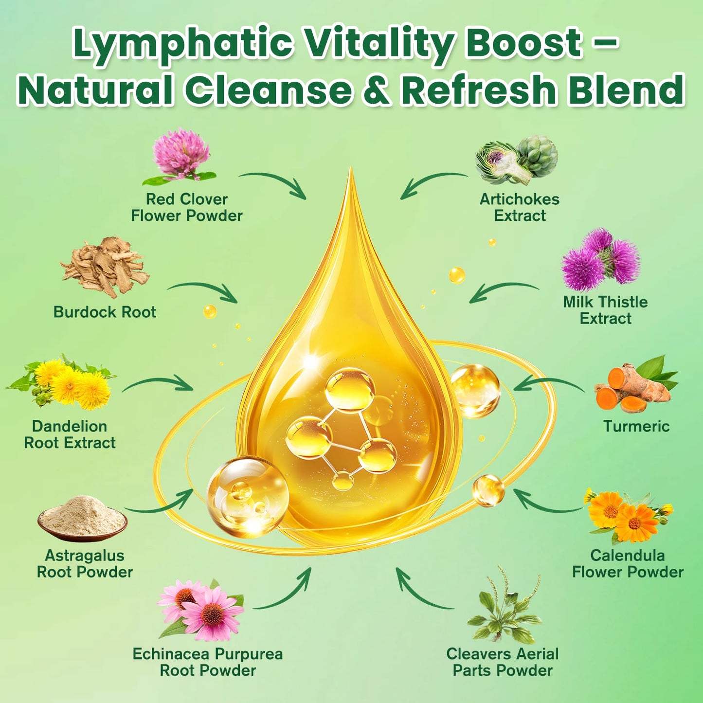 Liposomal Lymphatic Drainage Drops - Lymphatic Drainage Supplements with Milk Thistle, Burdock Root for Women & Men | Supports Liver Cleanse, Detox & Repair | Lymph - Liver Cleanse Health | 2 Fl Oz - Maple Wellness Supplements