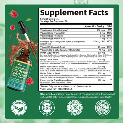 Liposomal Lymphatic Drainage Supplements with 30-in-1 Herbal Blend - Echinacea | Oregano | Milk Thistle - Sugar Free Lymph System Drops - Immune Support, Cleanse & Detox, Raspberry Flavor, 2 fl oz - Maple Wellness Supplements