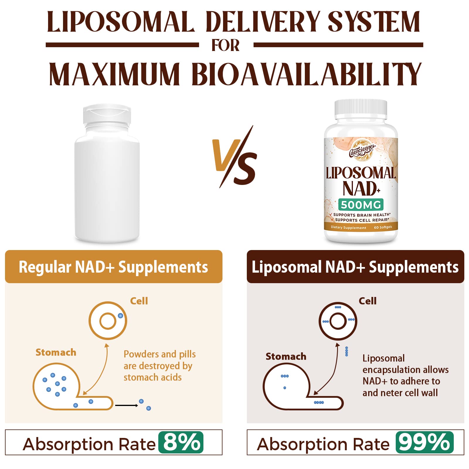 Liposomal NAD+ 500 MG Supplement, True NAD Plus Supplement, Superior Absorption, Boost NAD+ More Efficient Than Nicotinamide Riboside for Cellular Energy, Healthy Aging, 120 Serving - Maple Wellness Supplements