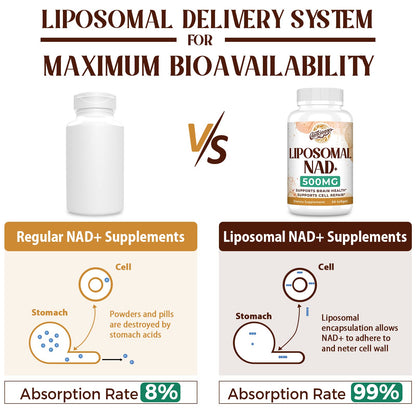 Liposomal NAD+ 500 MG Supplement, True NAD Plus Supplement, Superior Absorption, Boost NAD+ More Efficient Than Nicotinamide Riboside for Cellular Energy, Healthy Aging, 120 Serving - Maple Wellness Supplements