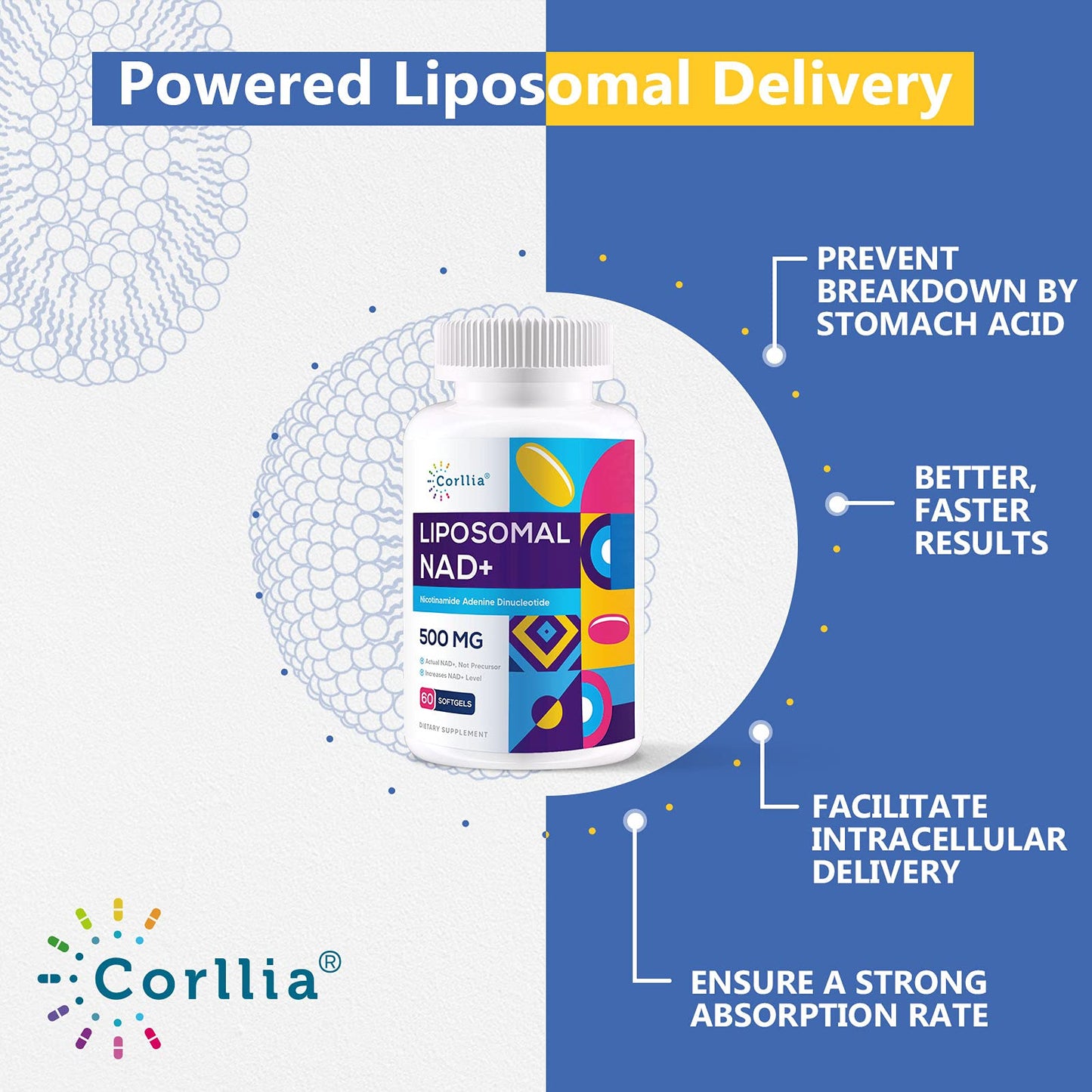 Liposomal NAD+ 500mg with TMG 250mg Softgels, Nicotinamide Riboside Alternative, Actual NAD+ Supplement, 120 Servings - Maple Wellness Supplements