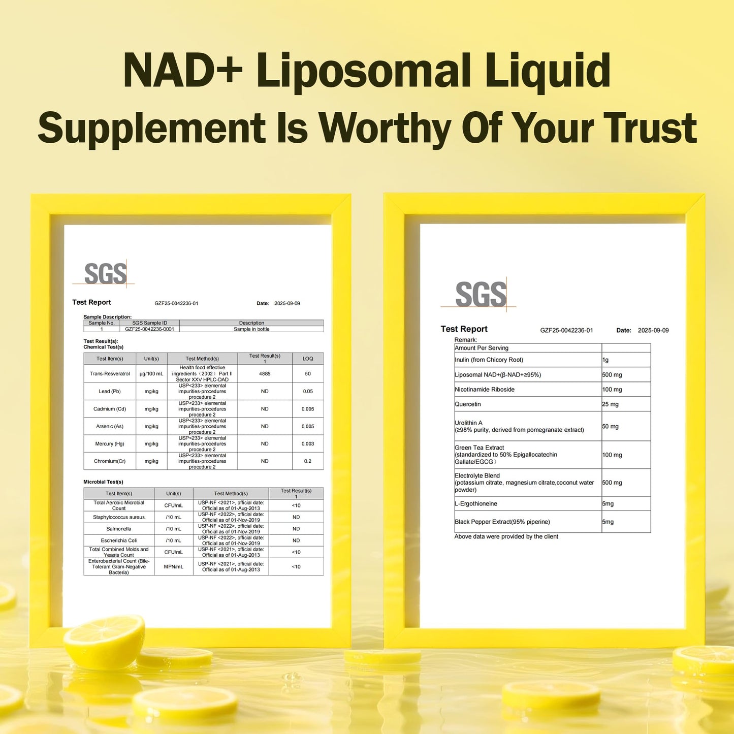 Liposomal NAD+ Liquid Supplement - Designed to Help Support Absorption - Nhanced Cellular Uptake, Helps Support Normal Cellular Health, Supports Cellular Energy Metabolism and Vitality - Lemon Flavor - Maple Wellness Supplements