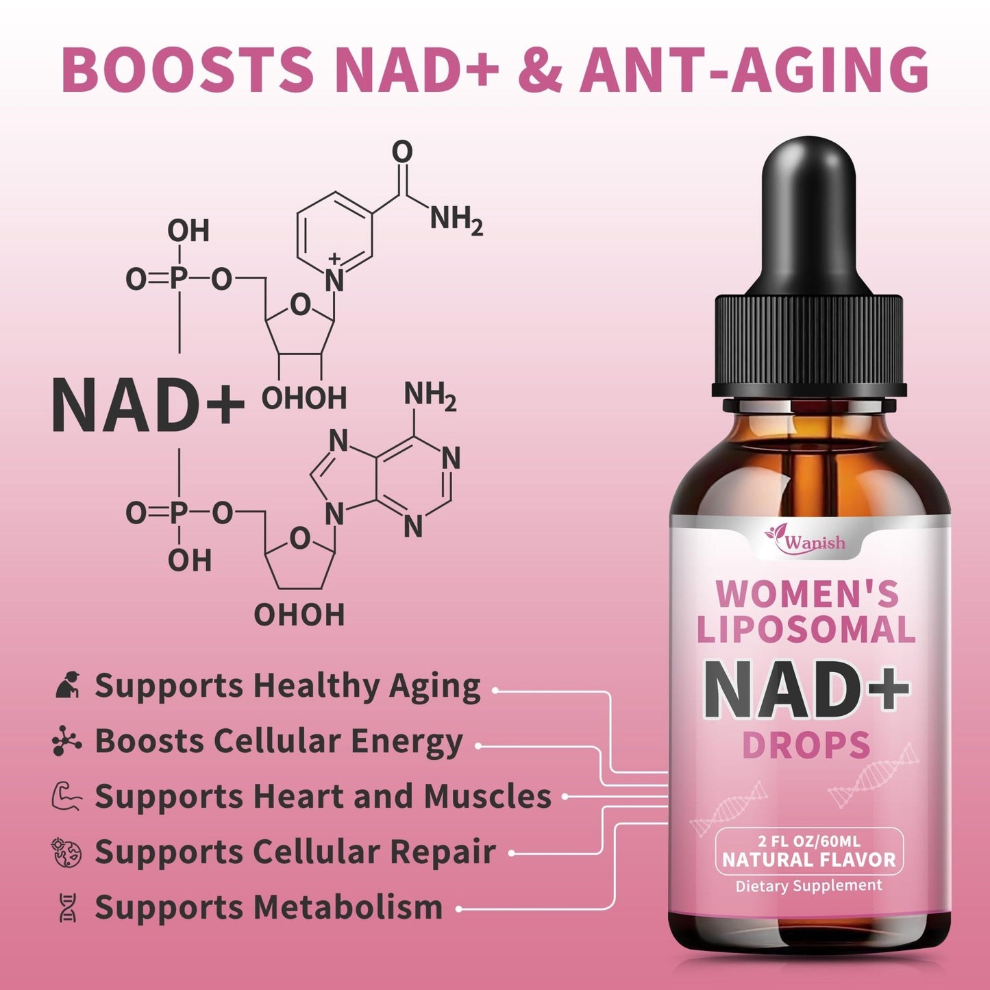 Liposomal NAD Liquid Supplement for Women, Pure 500mg NAD Nicotinamide - Cell Regeneration，Energy & Metabolism Support, Vegan,Sugar Free，Additives Free，2 Fl Oz - Maple Wellness Supplements