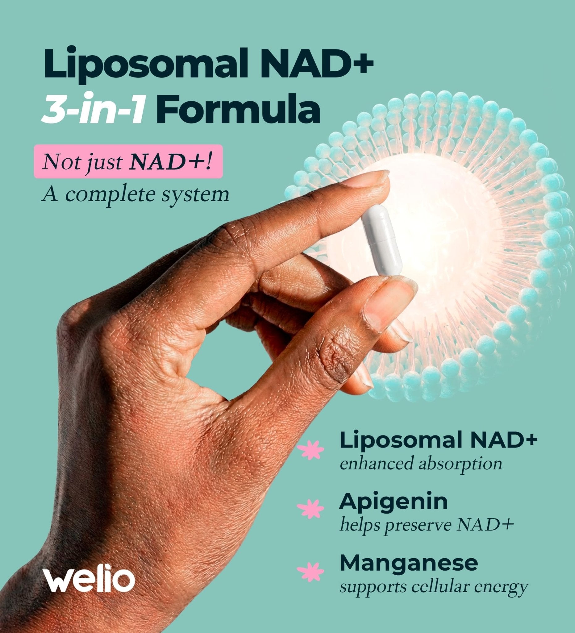 Liposomal NAD Supplement 601mg | Third-Party Tested, High Purity NAD+ | Anti-Aging & Cellular Health | NMN Supplement Alternative | Advanced NAD+ Supplement for Women & Men – 60 Capsules - Maple Wellness Supplements