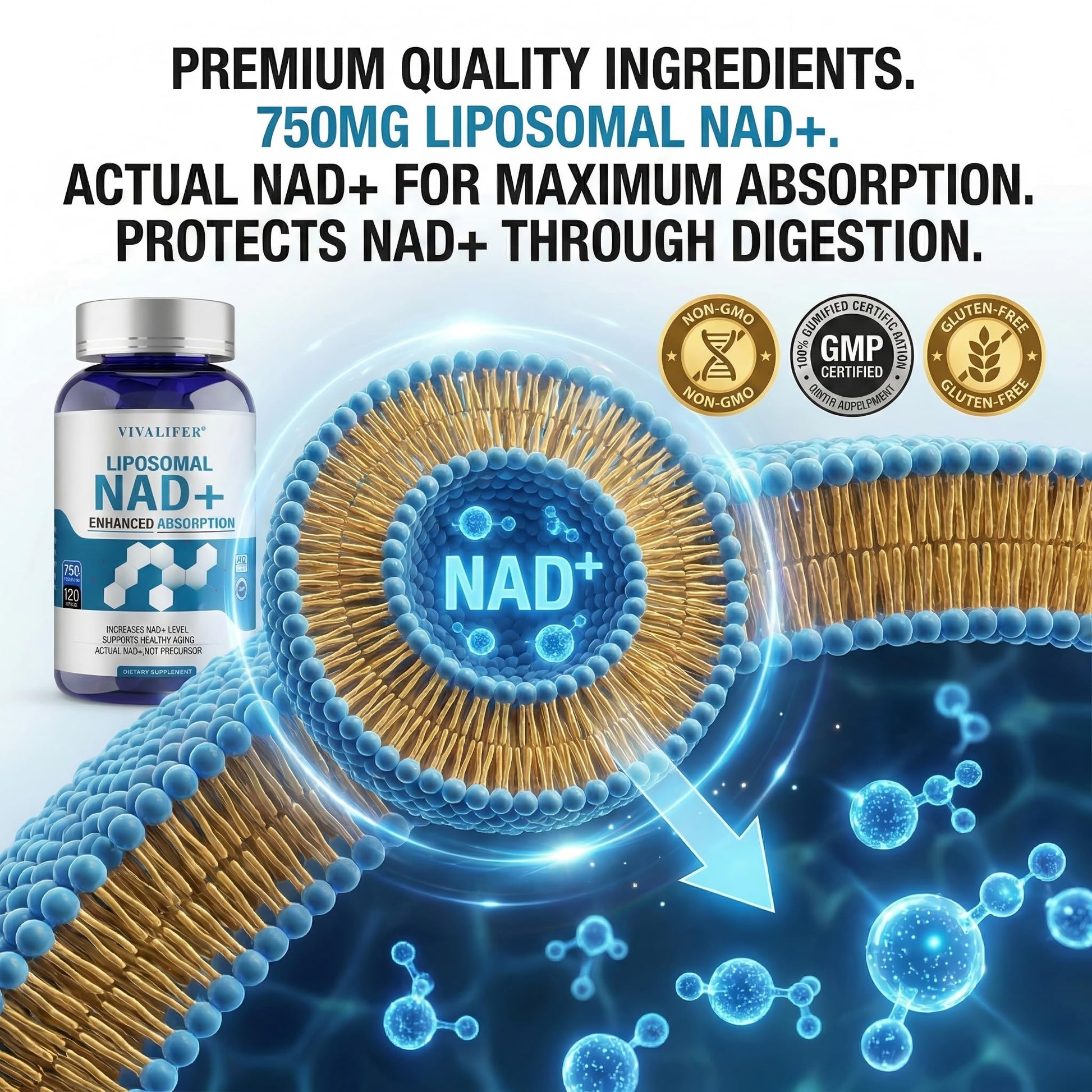Liposomal NAD+ Supplement 750mg - 120 Capsules NMN Alternative Superior Absorption & Bioavailability -True Nicotinamide Adenine Dinucleotide for Cellular Energy, DNA Repair Support & Healthy Aging - Maple Wellness Supplements