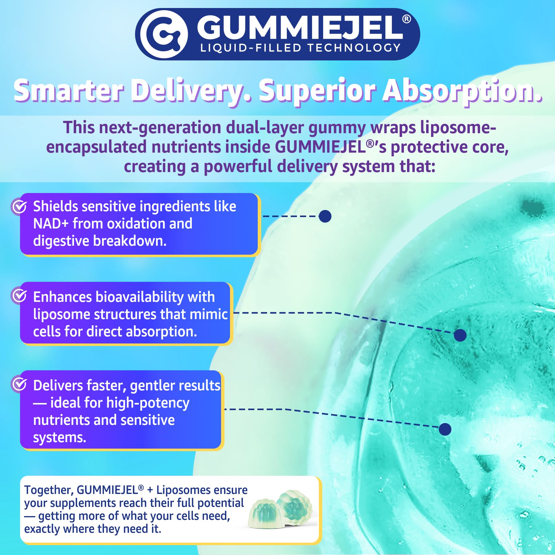 Liposomal Nad+ Supplement for Women, Men - Max Absorption Nad Gummies Plus Resveratrol, Fisetin, Quercetin, TMG, Caffeine, B12 for Aging Defense, Energy & DNA Repair, Skin, Brain, Antioxidant - 60Cts - Maple Wellness Supplements