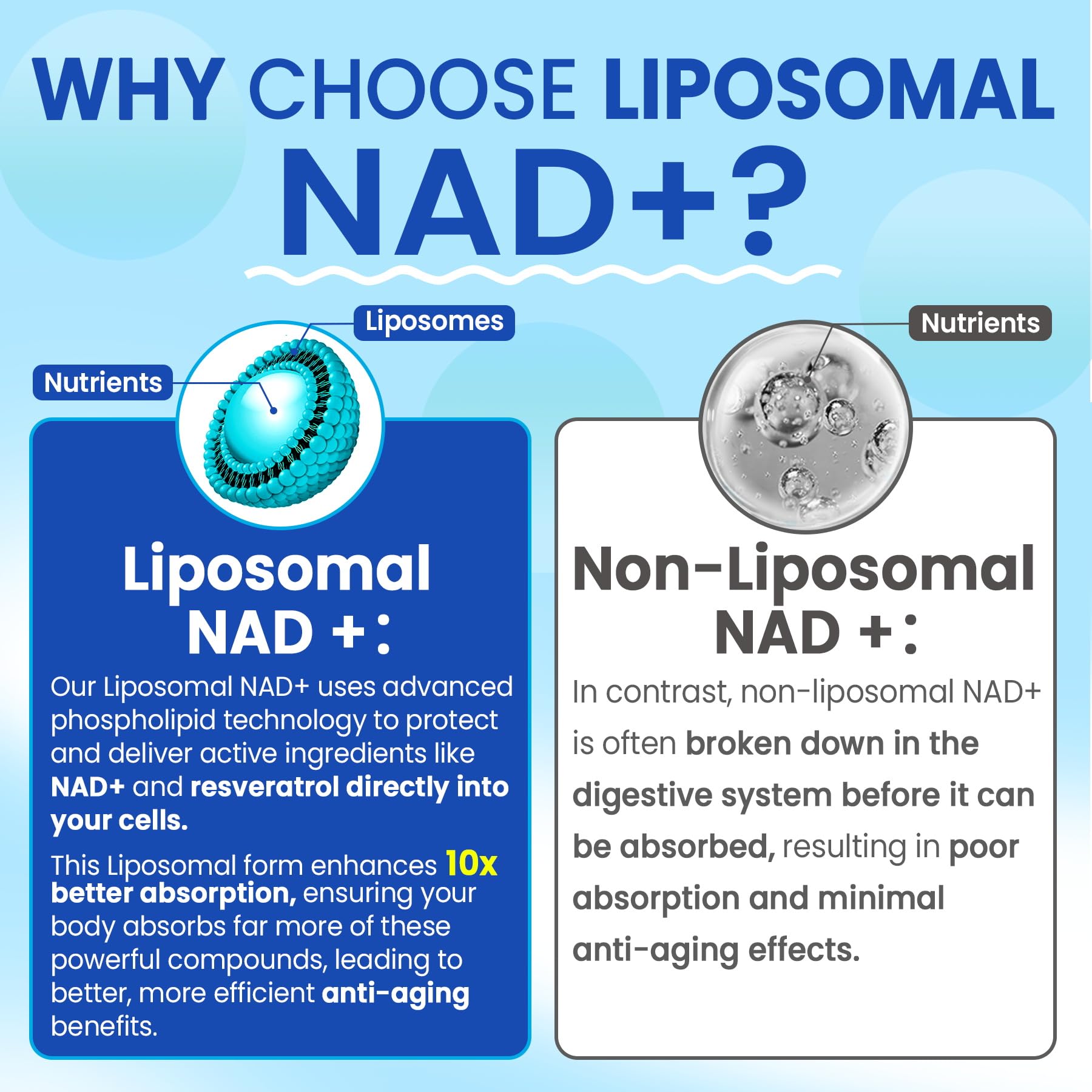 Liposomal Nad+ Supplement for Women, Men - Max Absorption Nad Gummies Plus Resveratrol, Fisetin, Quercetin, TMG, Caffeine, B12 for Aging Defense, Energy & DNA Repair, Skin, Brain, Antioxidant - 60Cts - Maple Wellness Supplements