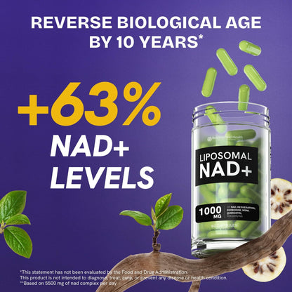Liposomal NAD Supplement for Women w/Noni | 5-in-1 NAD Resveratrol Supplement w/Berberine & Quercetin | Pure NMN Powder Alternative | Supports Anti Aging & NAD+ Levels | 60 caps - 1 Pack - Maple Wellness Supplements