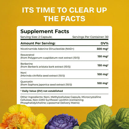 Liposomal NAD Supplement for Women w/Noni | 5-in-1 NAD Resveratrol Supplement w/Berberine & Quercetin | Pure NMN Powder Alternative | Supports Anti Aging & NAD+ Levels | 60 caps - 1 Pack - Maple Wellness Supplements