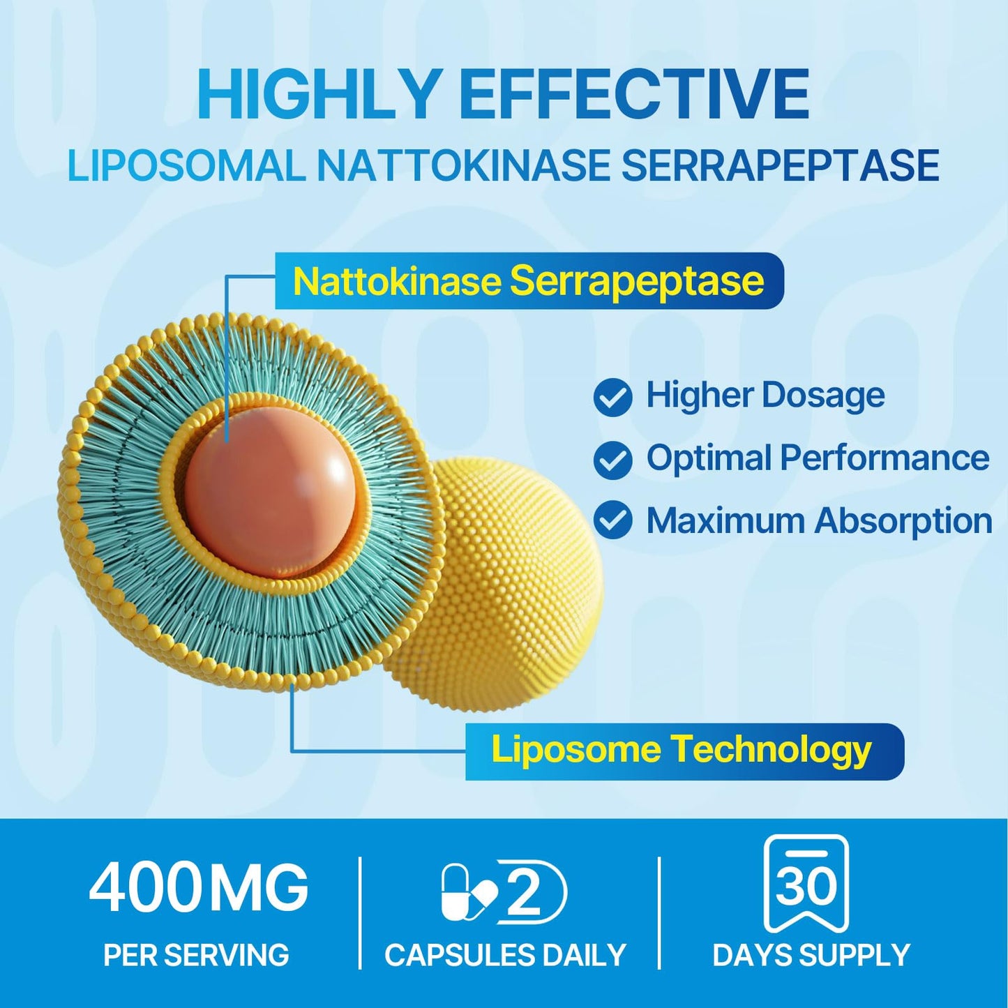 Liposomal Nattokinase 12,000 FU Serrapeptase 360,000 SPU Enzyme Supplement - Enriched with Synergistic Enzymes and Nutrient Blend & Inulin for Circulatory - Maple Wellness Supplements