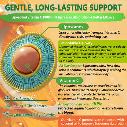 Liposomal Vitamin C 1000mg Gummies for Adults - Vitamin C Chewable with Elderberry, Zinc & 8mg Iron, Sugar Free Vit C Supplements, Daily Immune Support Gummies for Energy - Maple Wellness Supplements