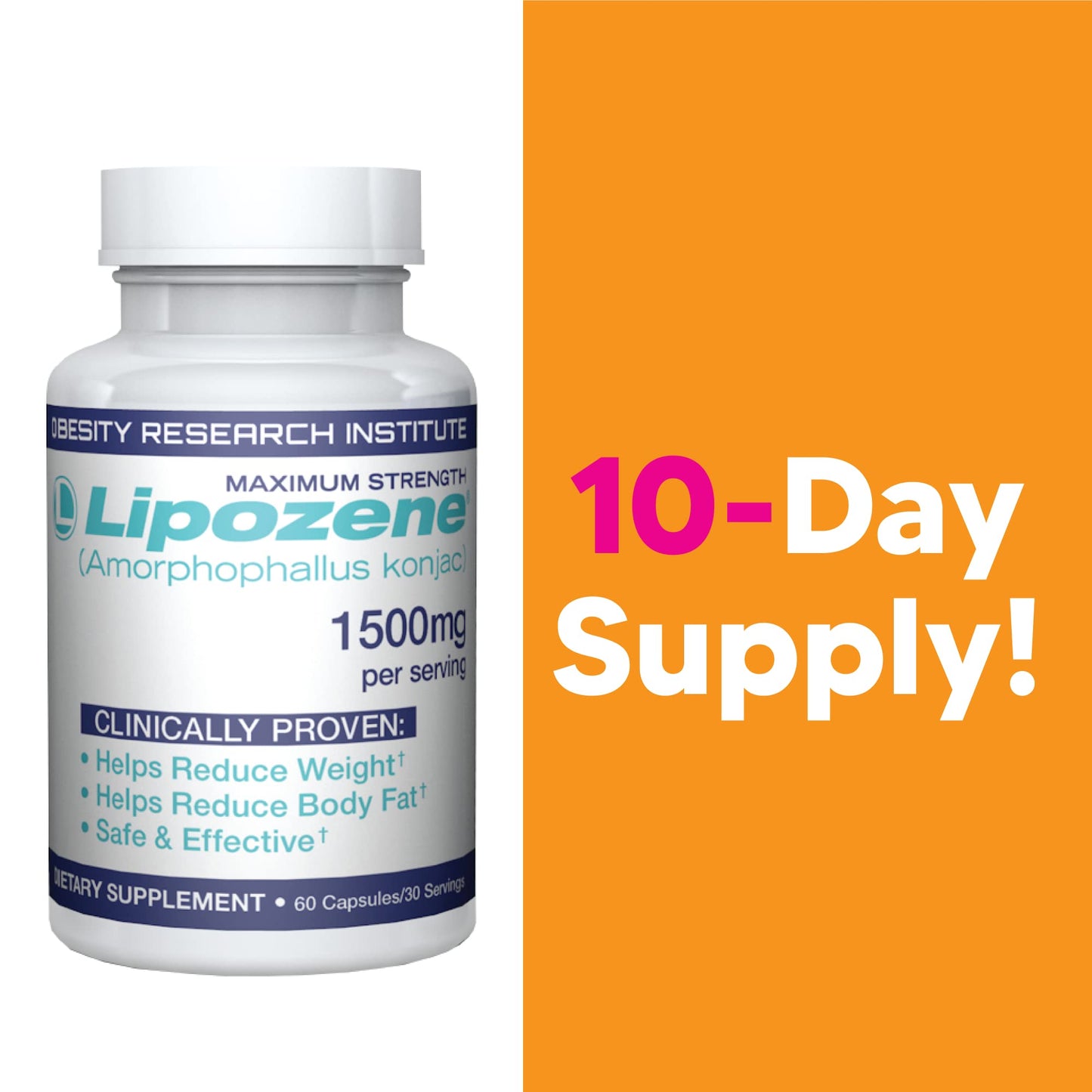 Lipozene Weight-Management Fiber Supplement, 60 Capsules | Non-Stimulant Glucomannan Formula for Healthy Lifestyle Support - Maple Wellness Supplements
